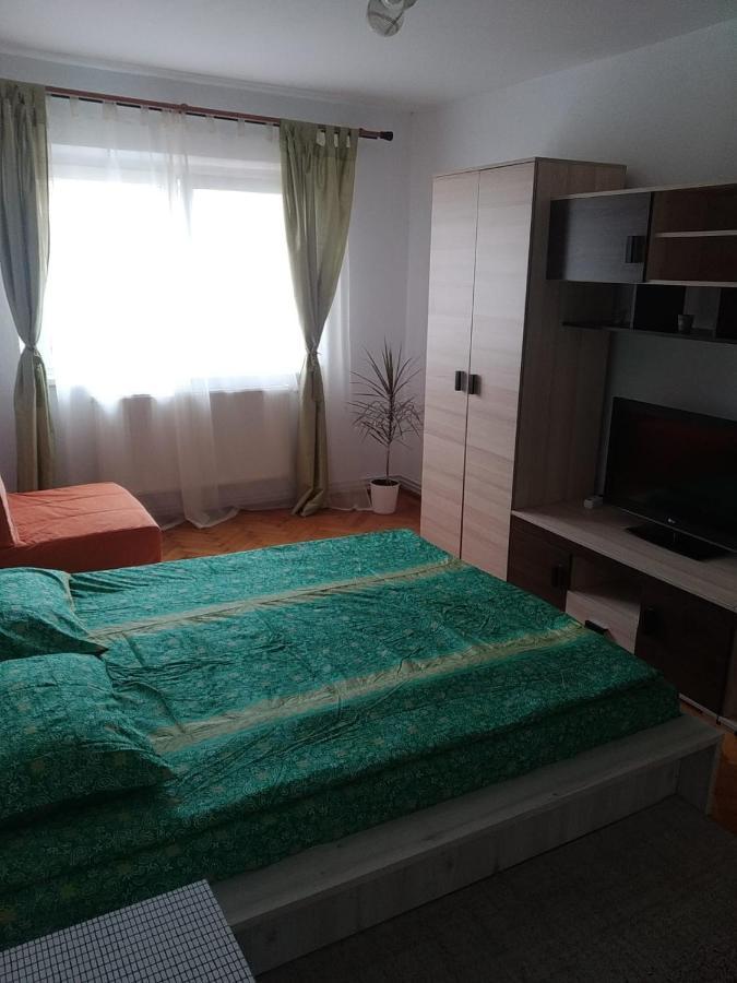 Apartament Erik Apartament Sybin Zewnętrze zdjęcie